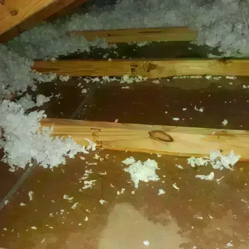 Attic Water Damage in Clarkston Heights-Vineland, WA